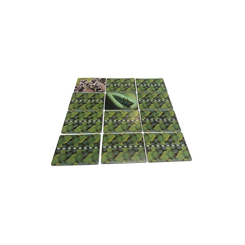 FLINK Juego de Memoria Animal 60 Cartas