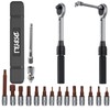 DSBYKJ 17 Piece Small Torque Wrench Set (5-30nm), 1/4" Drive