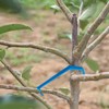 DVECUE Branch Limb Spreaders for Fruit Trees Apple Tree Limb