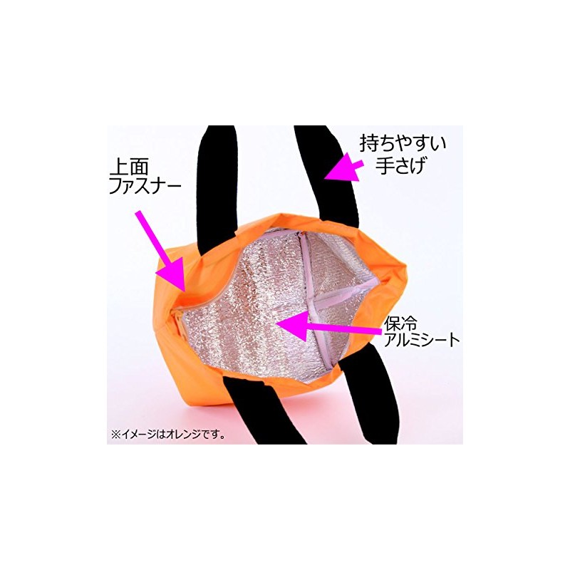 エピオス soloa 保温 保冷 お出かけ バッグ ブルー (500ml缶×4本入る)