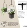 Umbra Triflora Hanging Planter for Window, Indoor Herb Garden, Set