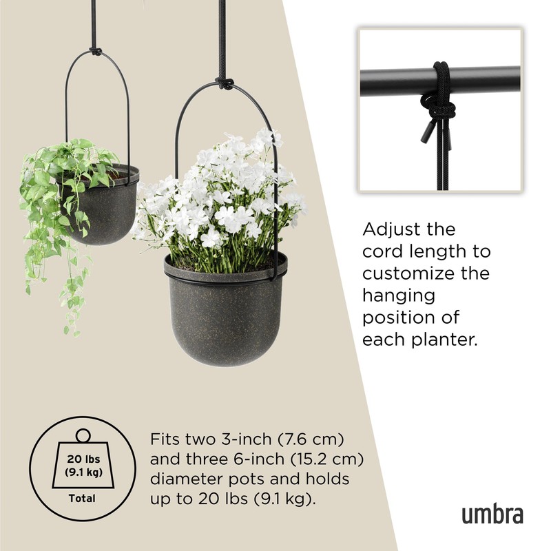 Umbra Triflora Hanging Planter for Window, Indoor Herb Garden, Set