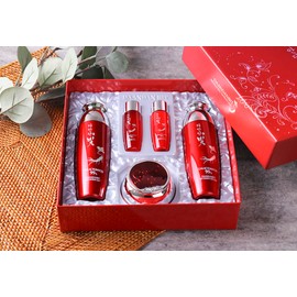 Jigott - DAANDAN Bit Premium Red Ginseng Set, Skin 5.07 FL OZ, Emulsion 5.07 FL OZ, Cream 1.69 FL OZ, Skin Sample 1.01 FL Oz, Emulsion Sample 1.01 FL OZ