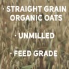New Country Organics | Organic Oats | Certified Organic and