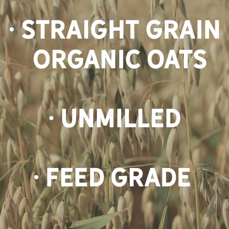New Country Organics | Organic Oats | Certified Organic and