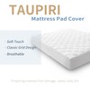Taupiri Queen Quilted Mattress Pad Cover with Deep Pocket (8"-21"),