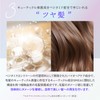 Kyogoku W Treatment, Rinsing Treatment, Non-Rinsing Treatment, Salon Exclusive Ranking,