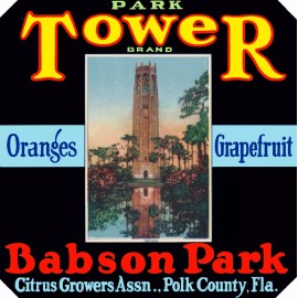 Park Tower Babson Park Polk Cnty Florida Tower Brand Orange Citrus Fruit Crate Label Print