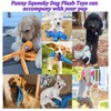 Plush Dog Toy, Durable Squeaky Dog Toy, Dog Chew Toy