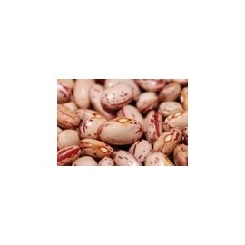 Beans, Pinto, Organic, 25# Bulk