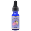 アンジェリック エッセンス DNA 64 Kit5 15ml