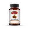 Nature's Basket Sea Moss 60 Capsules - Marine Wellness Boost