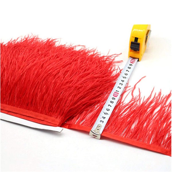 36 Colours Quality Ostrich Feather Trimming Fringe for Millinery Craft Dress Making (Red,2 Meters)