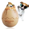 MITOCAPY Dog Treat Toy - Dinosaur Egg Puzzle Toys for