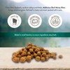 Addiction Meaty Bites - Hypoallergenic Dog Treats - Made in