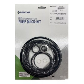 Pentair Pump Seal Repair Kit for Challenger Pump For Salt/Ozone Pool Part 356199