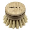 Ever Eco Dish Brush Replacement Head, 1 Brush