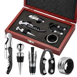 5-Piece Wine Opener Gift Set with Wooden Box, Premium Stainless Steel Wine Accessories Kit, Corkscrew, Pourer & Stopper for Home Use