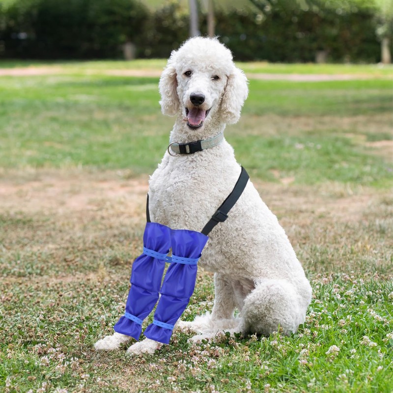vomvomp Waterproof Dog Leggings with Adjustable Strap Dogs Leg Covering