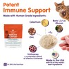 Dr. Bill’s Feline Immune Support | Boosts Cat Immunity and