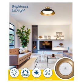 kudos Flush Mount Ceiling Light, 16-inch LED Ceiling Light Fixture, Black and Gold Finish, 24W 2400lm Light Fixtures for Living Room, Kitchen, Bedroom, Hallway, 5CCT Adjustable, KDCL02-BK