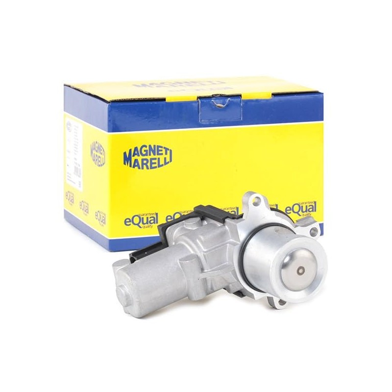 MAGNETI MARELLI EGR Valve