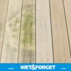 Wet & Forget Outdoor Moss, Mold, Mildew, & Algae Stain