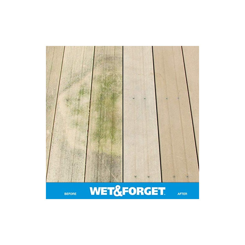 Wet & Forget Outdoor Moss, Mold, Mildew, & Algae Stain