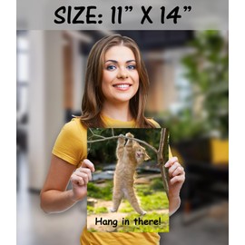 HoneyKICK Hang in There Cat Poster - Printed on Premium Cardstock Paper - Sized 11 x 14 Inch - Perfect Funny Motivational Poster For Home or Office - Humorous Decor, Funny Quote