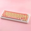 TYRIXKI PBT Keycaps 138 Keys Cute Keycaps Dye-Sublimation Dessert Pig
