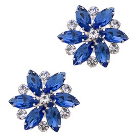 Ruihfas Fashion Bridal Wedding Party Shoe Clips Rhinestone Shoe Buckle Multi Color, 2Pcs (Blue)