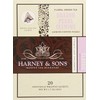 Harney & Sons Dragon Pearl Green Tea Sachets, Jasmine, 1.7
