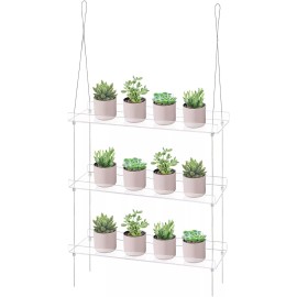 Kuahome 3-Tier Acrylic Window Wall Hanging Clear Plant Shelves for Windows