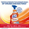 Lysol Pro Kitchen Spray Cleaner and Degreaser, Antibacterial All Purpose