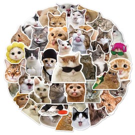 MORAINJAY 100pcs Cute Funny Cat Stickers for Kids,Cartoon Theme Water Bottle Stickers for Teens Boys Girls,Aesthetic Cat Anime Vinyl Stickers Party Favors for Kids Party Bags Filler,Laptop,Skateboard