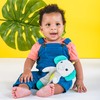 Bright Starts, Snuggle & Teethe Elephant Plush Toy and Teething