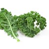 Kale Garden Seeds - Vates Blue Scotch Curled - 1