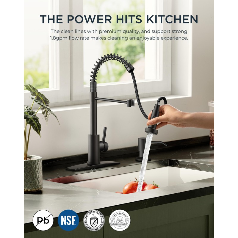 FORIOUS Black Kitchen Faucet with Soap Dispenser, Single Handle Stainless