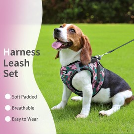 Jolifield Step in Dog Harness with Leash Set, Adjustable Soft Padded and Breathable Mesh for Small Sized Dog, Reflective No Pull No Choke Cat Vest Harness, Easy Control Pet Vest, Pink S