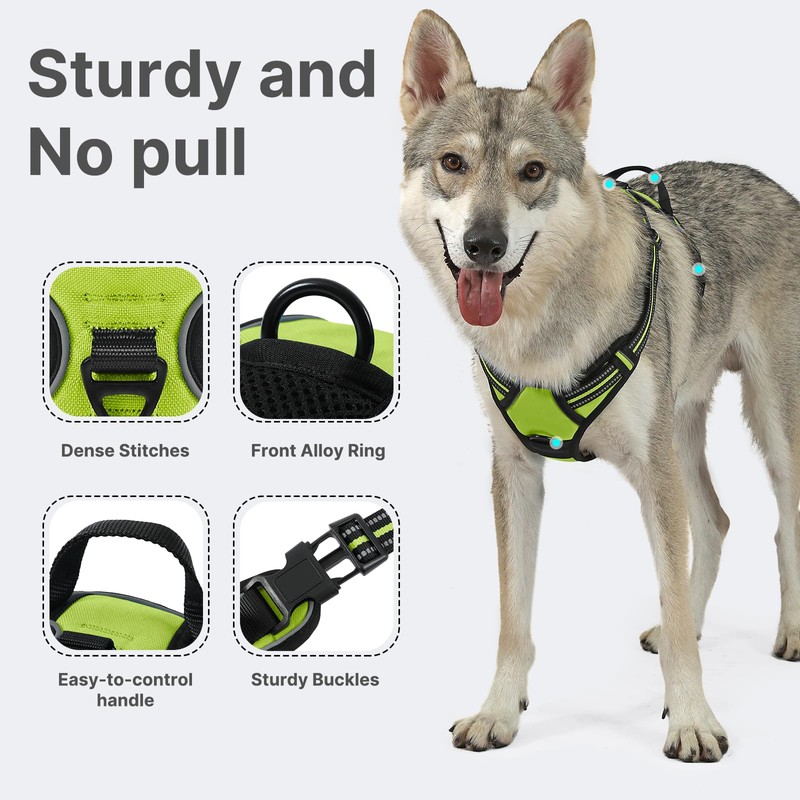 Belababy Medium Dog Harness - No Pull, Soft Padded with
