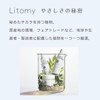 [Litomy Balancing Booster Serum, Hydrate] Introduction Serum, Sensitive Skin, Dry