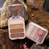 Erinde Eyeshadow Palette with 4 Colours, Matte and Shimmering Eyeshadow