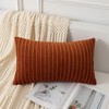 UGASA Fall Velvet 12x20 Inch Lumbar Soft Throw Pillow Covers