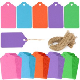 SallyFashion 120PCS Gift Tags with String, Colored Blank Tags Paper Tags Hanging Tags for Birthday Gifts Wedding DIY