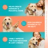 ProElobara Dog Calming Pheromone Diffuser: Dog Calming Pheromones Plug Diffuser