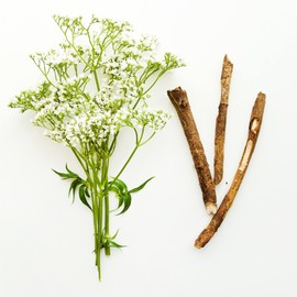 Valerian Root Cut from Mimea - Great Herbal Remedy 1kg