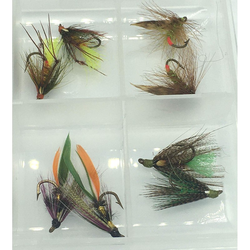 BestCity Fly Fishing Irish Wet Flies 16 Flies set in