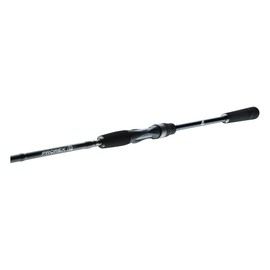 DAIWA Prorex S Spin, 2.10 m, 5-21 g, 2 Pieces, Extra Fast/Fast, Fishing Rod, Spinning Rod, 11282-210