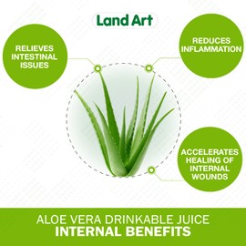 Land Art Pure Aloe Vera Juice Pomegranate 500 ml - Cold-Processed – from Organic Fresh Leaves – for Intestinal Issues – Made In Canada