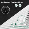 Fanulter 10 Pack C545 Replacement HEPA Filter Compatible with Winix